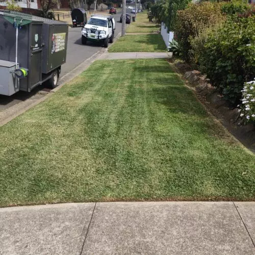 A lawn is being mowed by Rich Lawn Mowing Service in front of a house.