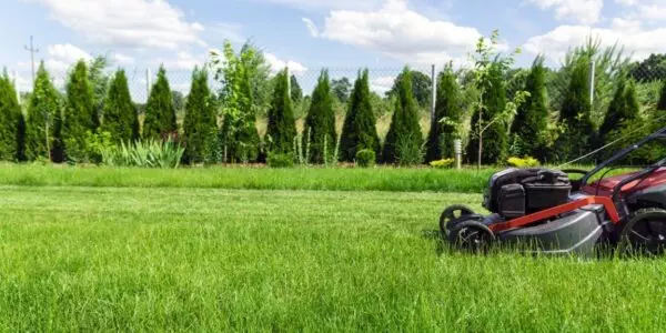 A rich individual mows their lawn with a lawn mower.