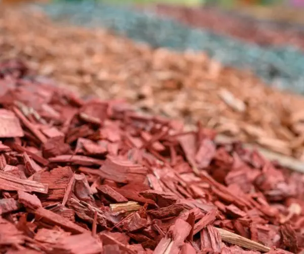 Mulching Services: A pile of wood chips for mulching purposes.