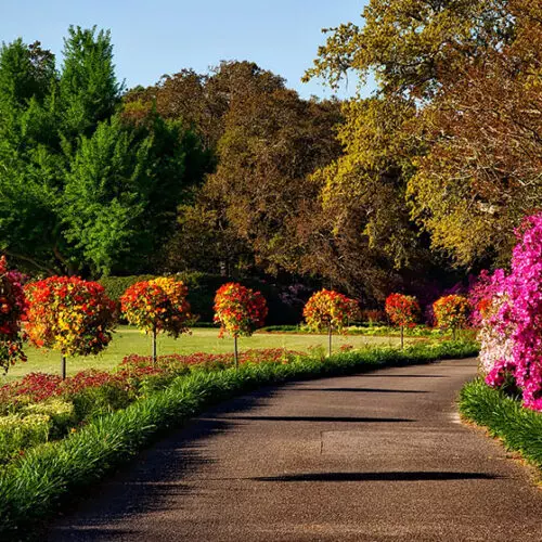 A park pathway with vibrant flowers maintained by Rich Lawn Mowing Service.