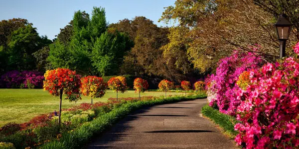 A pathway lined with vibrant flowers in a park maintained by Rich Lawn Mowing Service.