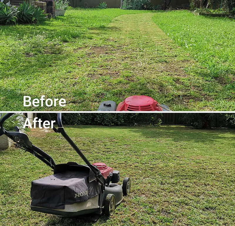 A lawn mower is shown before and after mowing.